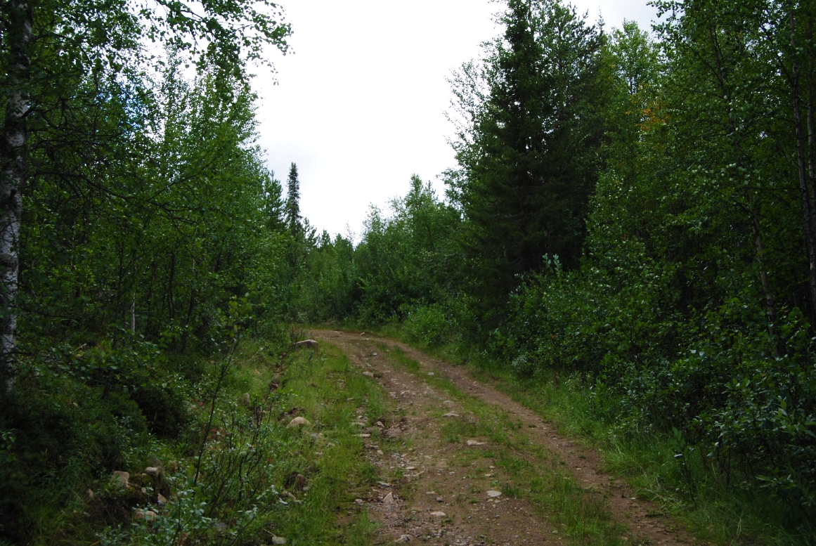 X_DSC_7683