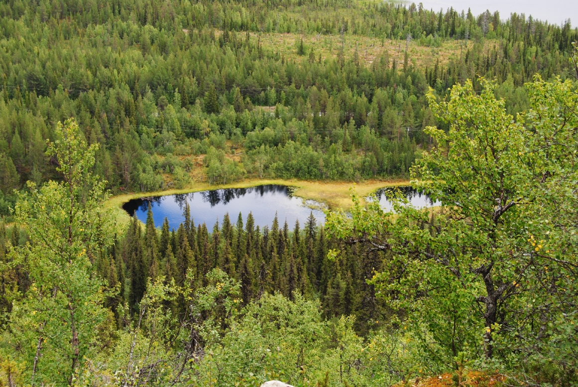 X_DSC_7695