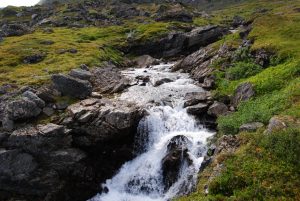 X_DSC_7948