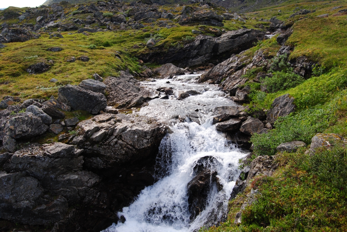 X_DSC_7948