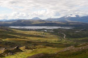 X_DSC_8011