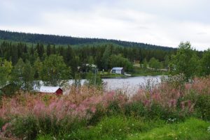 X_DSC_8180