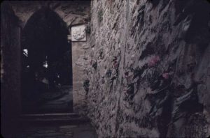 vogt_0016