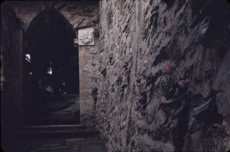 vogt_0016