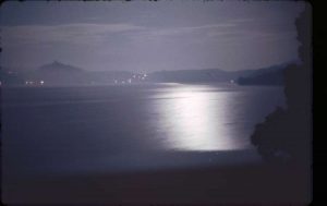 vogt_0021