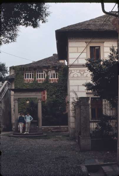 vogt_0027