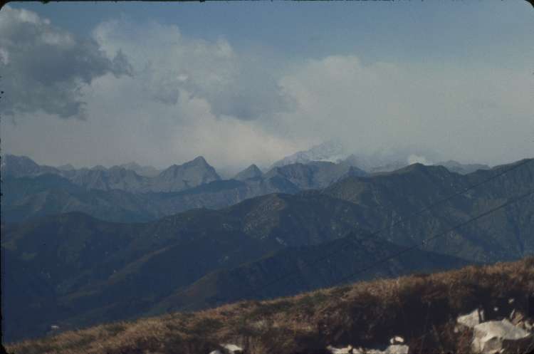 vogt_0034