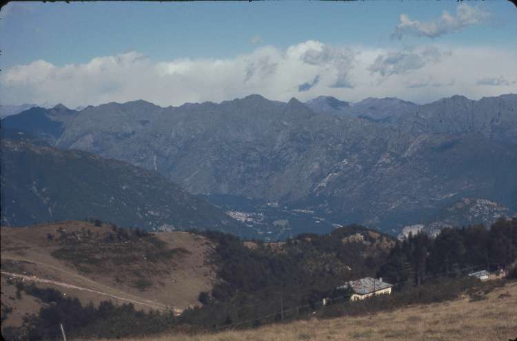 vogt_0036