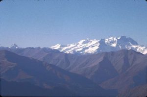 vogt_0090