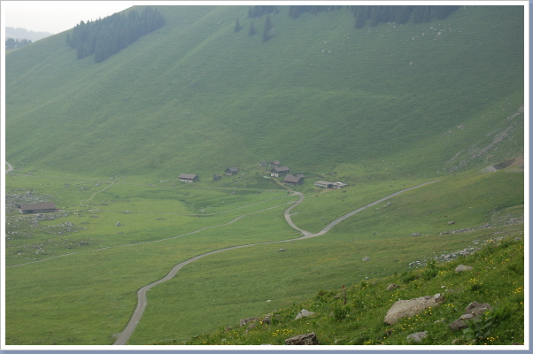 dsc_0844