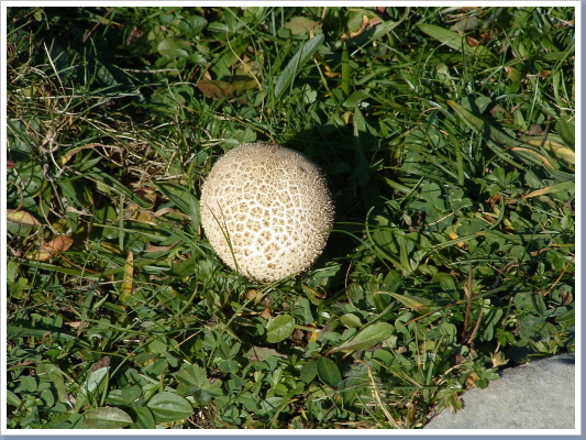 dscf0411