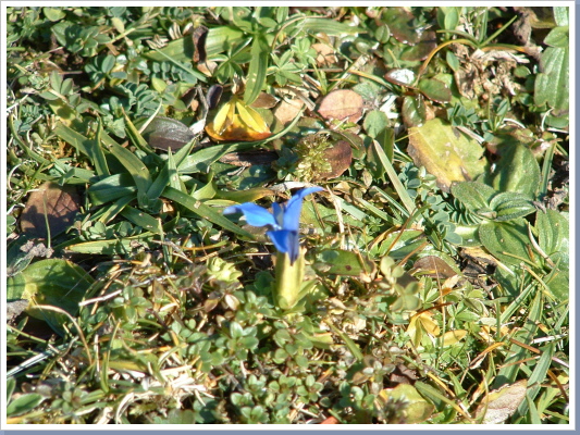 dscf0414