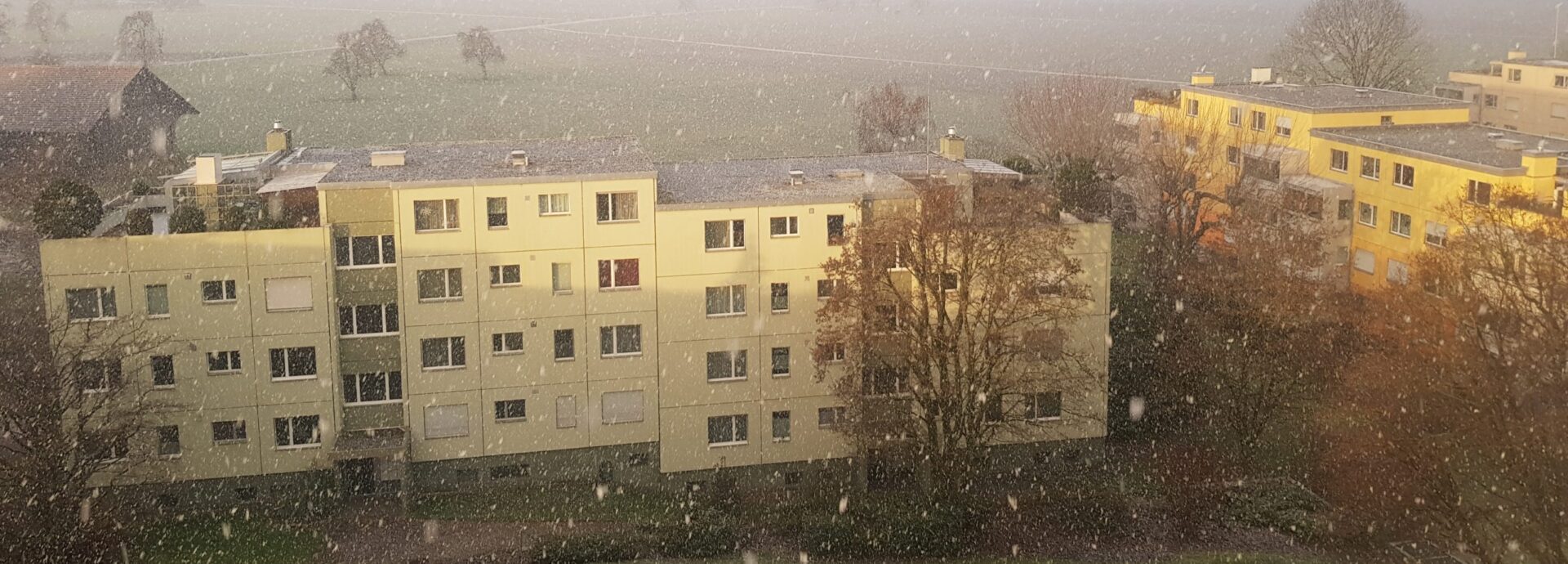 Familie Vogt, Mönchaltorf