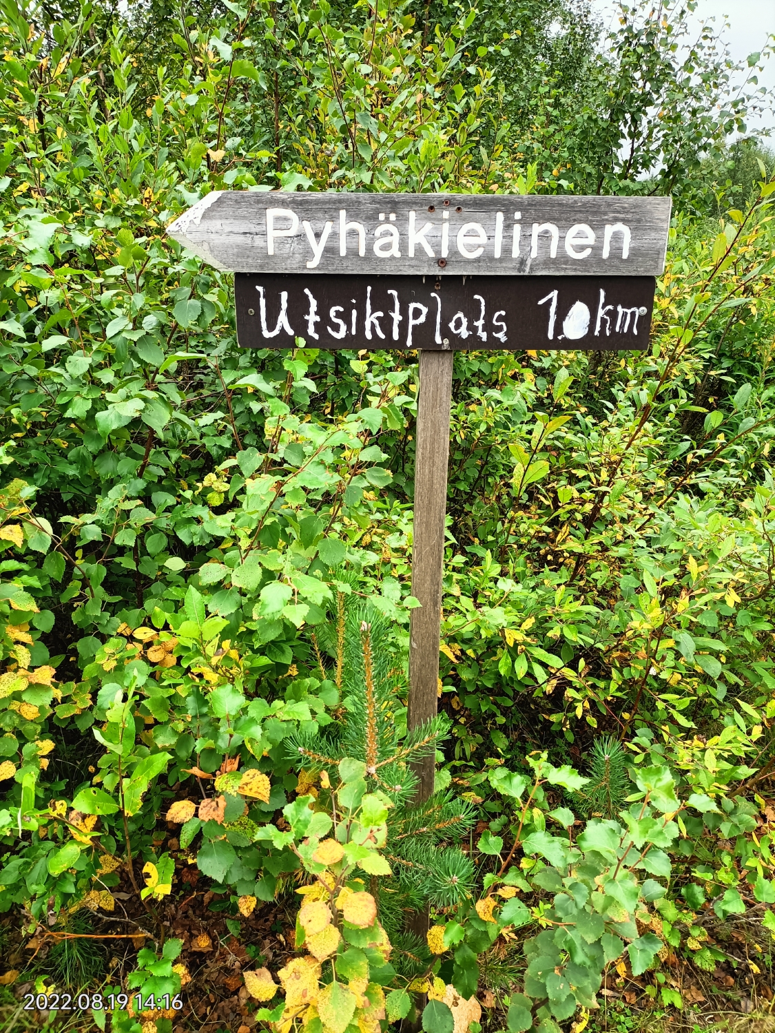 Rund um Skaulo