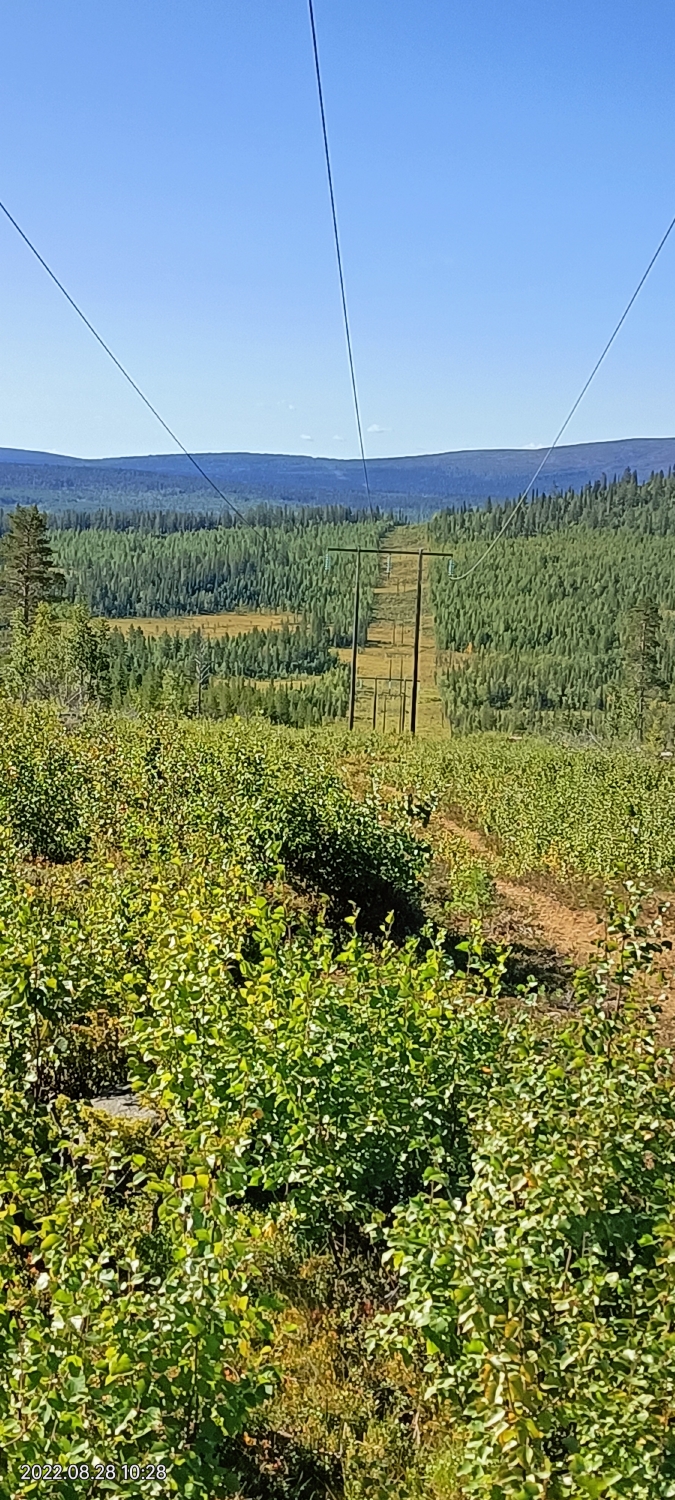Ausflug auf einen Hügel in der Umgebung