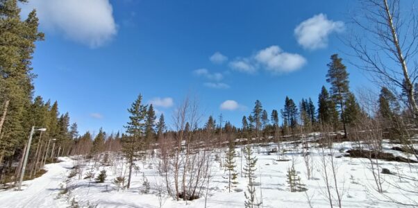Winterliche Umgebung von Skaulo im Mai 2025