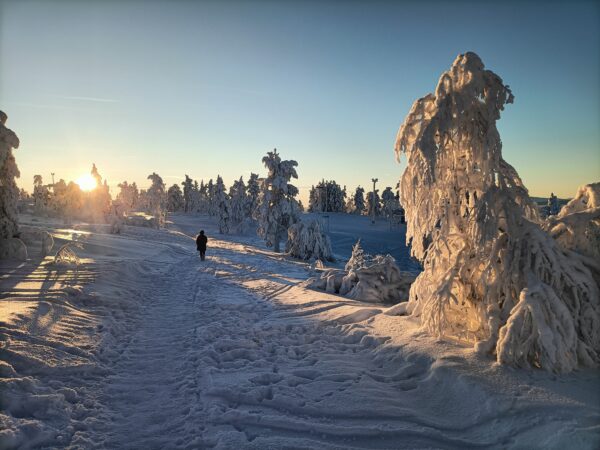 Ausflug nach Levi Finnland ins dortige Skigebiet