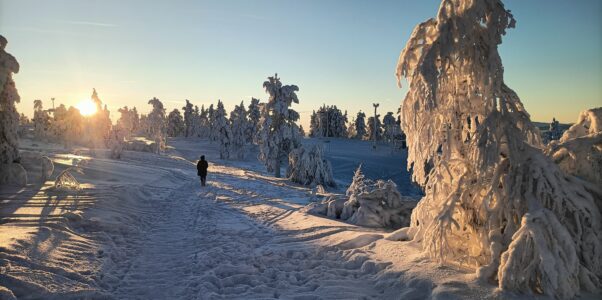 Ausflug nach Levi Finnland ins dortige Skigebiet