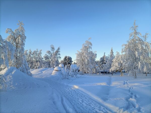 Ein paar Schritte in die winterliche Umgebung von Skaulo