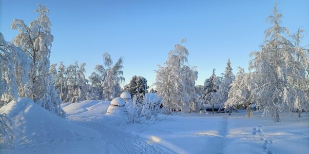 Ein paar Schritte in die winterliche Umgebung von Skaulo