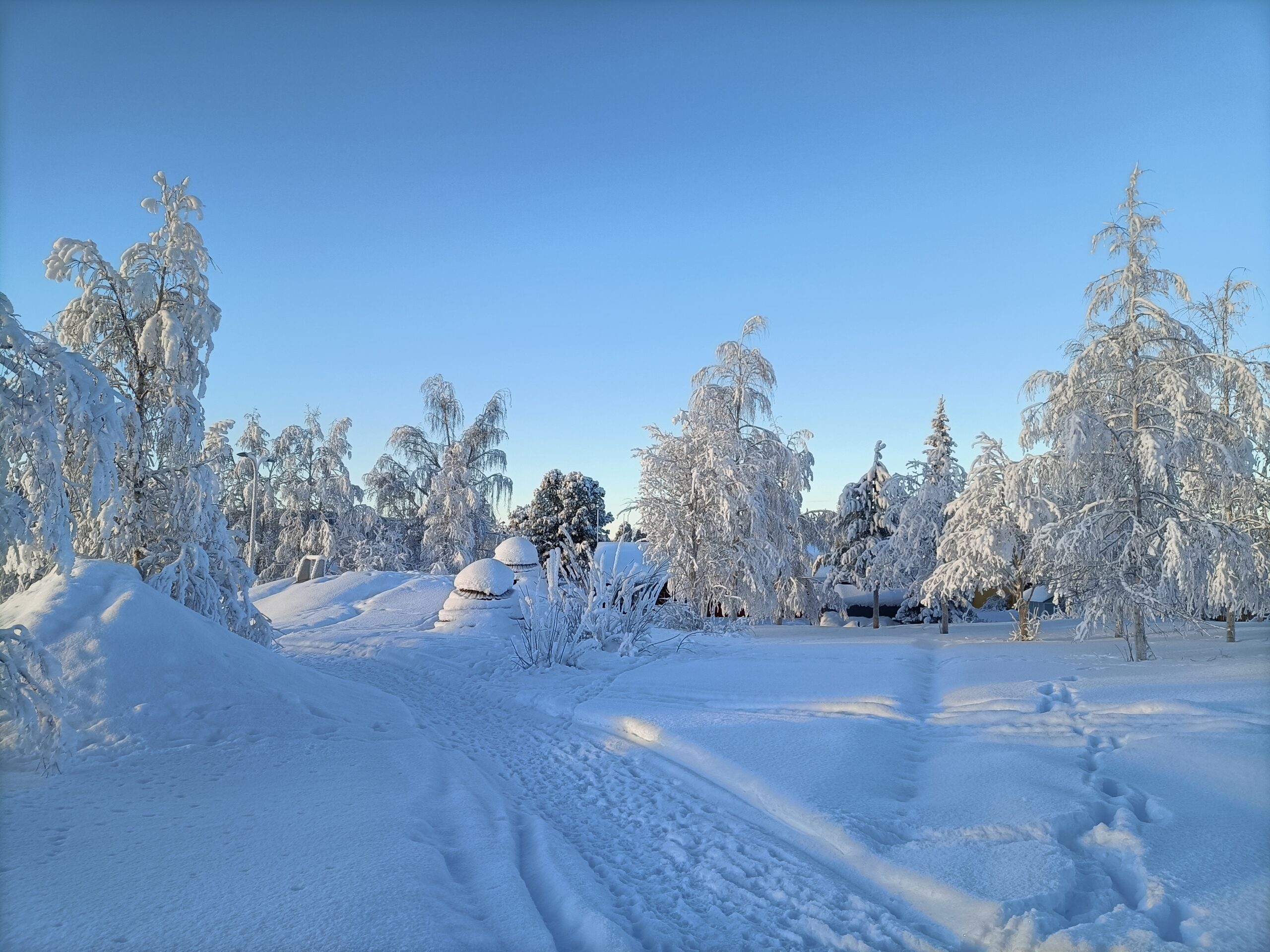 Ein paar Schritte in die winterliche Umgebung von Skaulo