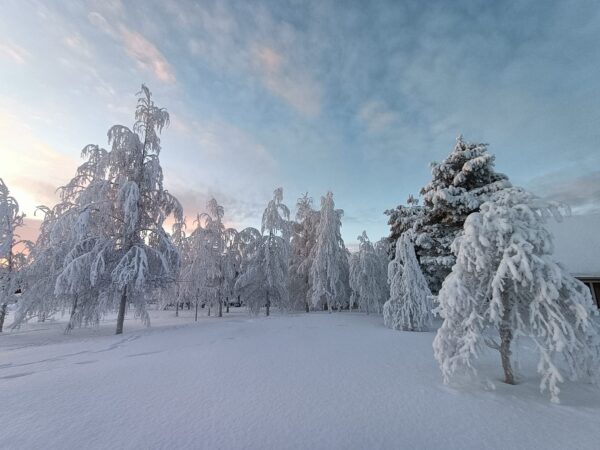 Wintertage in Skaulo im Januar 2026