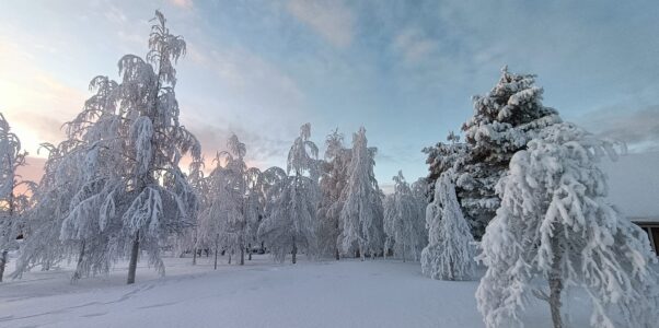 Wintertage in Skaulo im Januar 2026