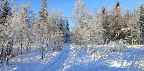 Bilder aus der Umgebung von Skaulo