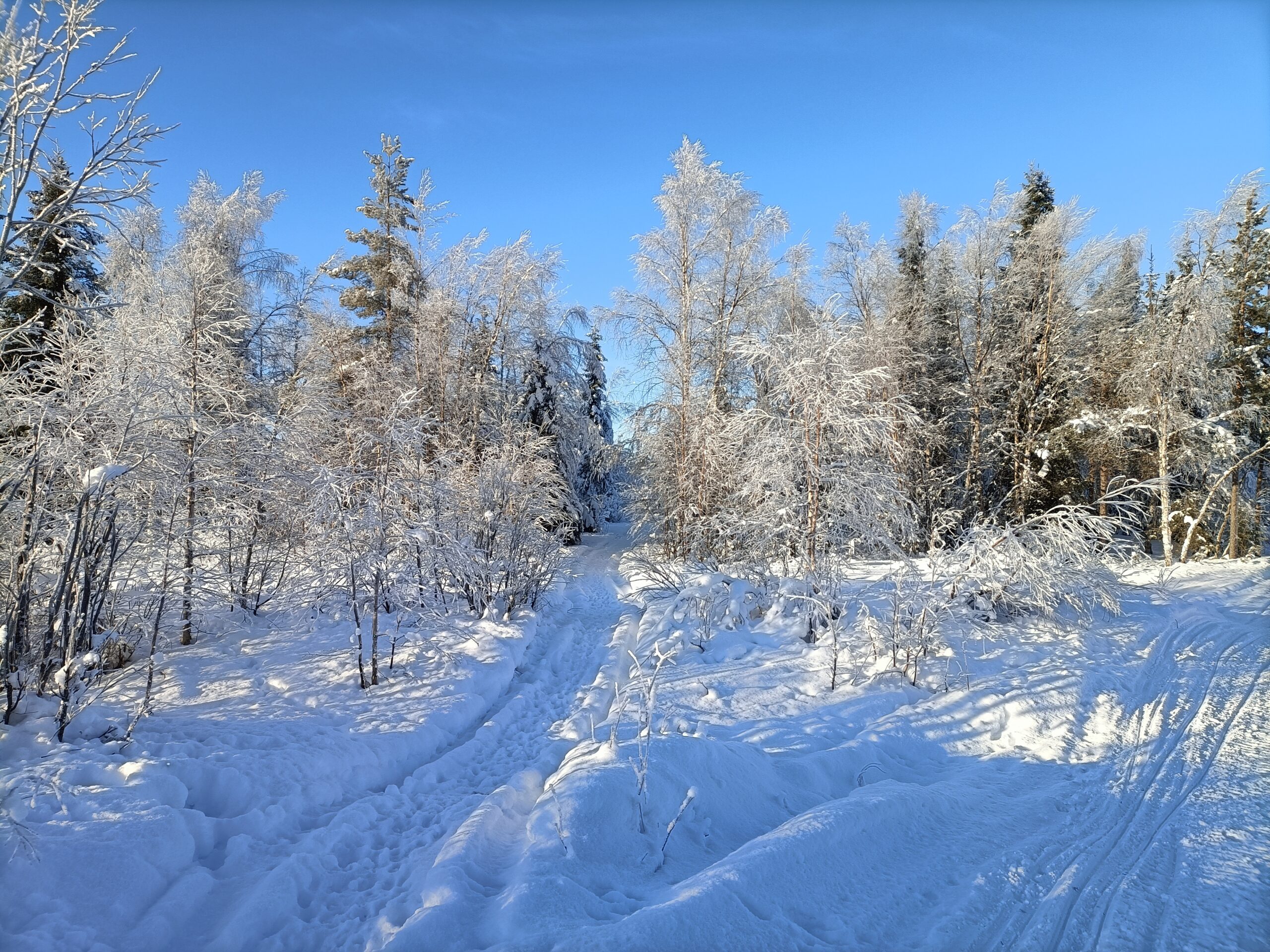 Bilder aus der Umgebung von Skaulo